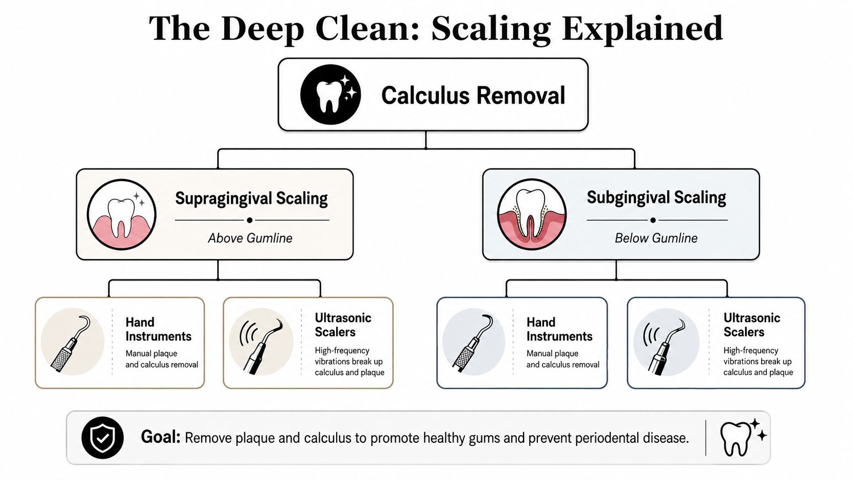 An infographic titled The Deep Clean: Scaling Explained detailing supragingival and subgingival scaling procedures for dental care.