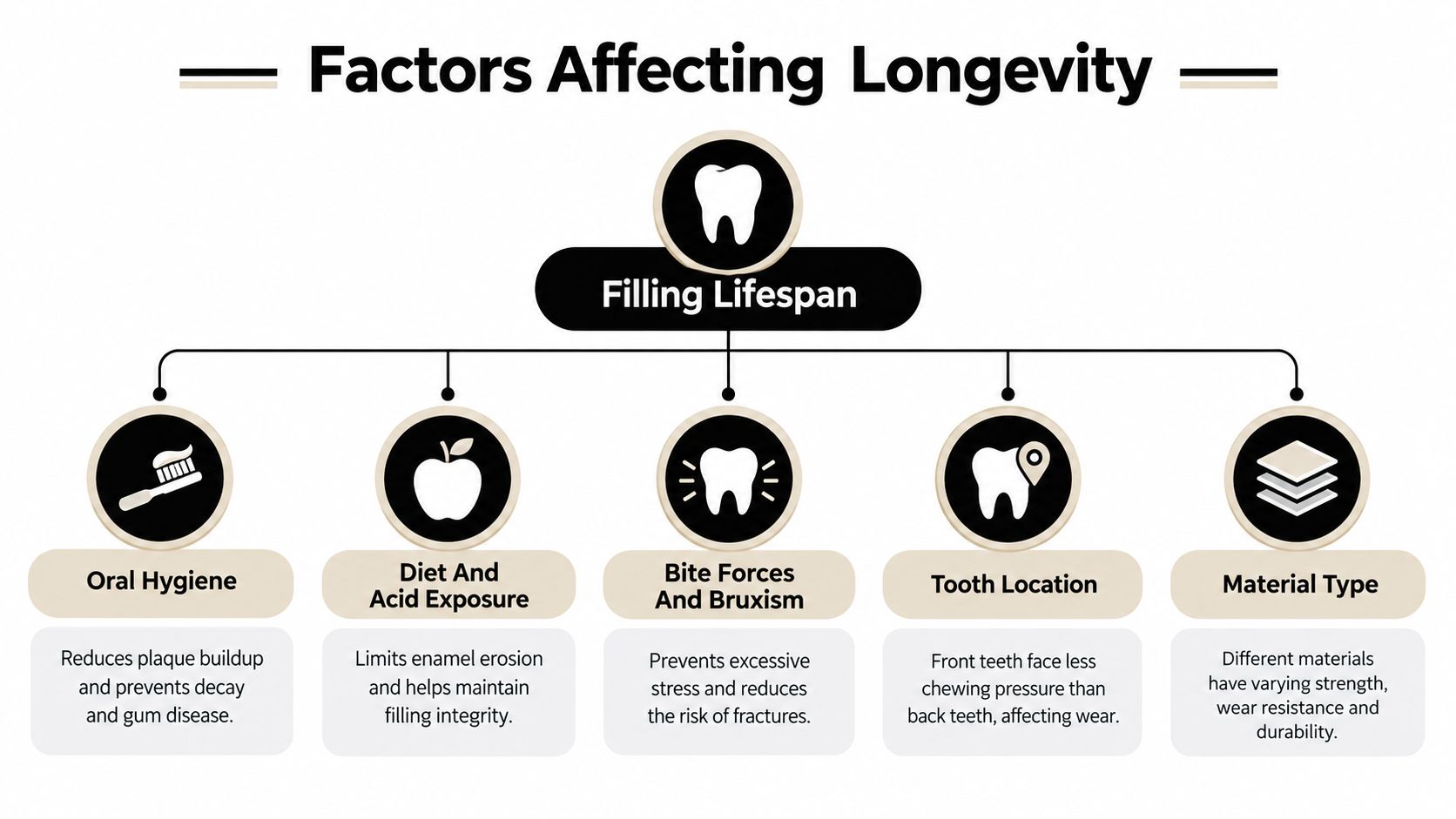 An infographic titled Factors Affecting Longevity showing how oral hygiene, diet, bite forces, tooth location, and material affect dental fillings.