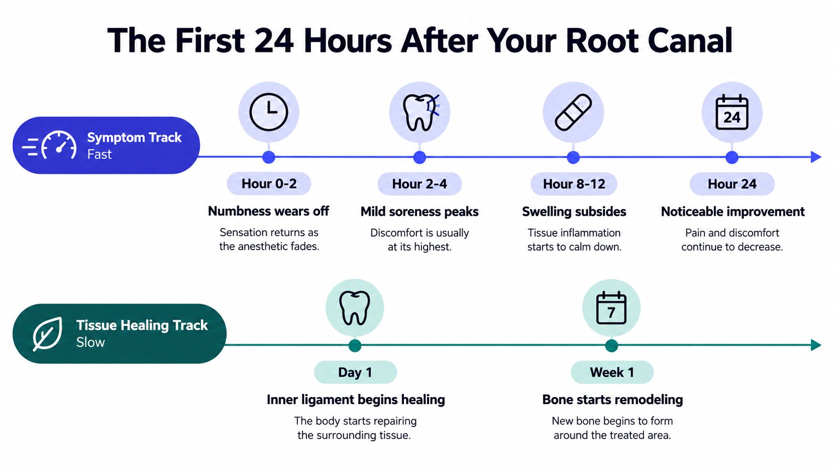 A timeline graphic showing the recovery process after a root canal, detailing symptom progression and tissue healing.